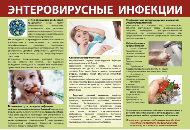 Защита от энтеровирусной инфекции.